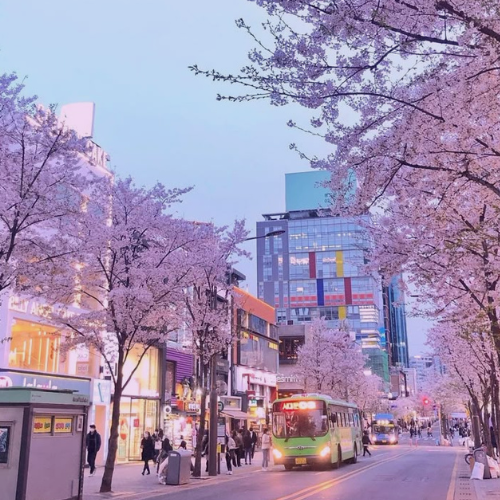 Making Korean Friends as a Foreigner: Tips for Building Genuine Connections in Korea