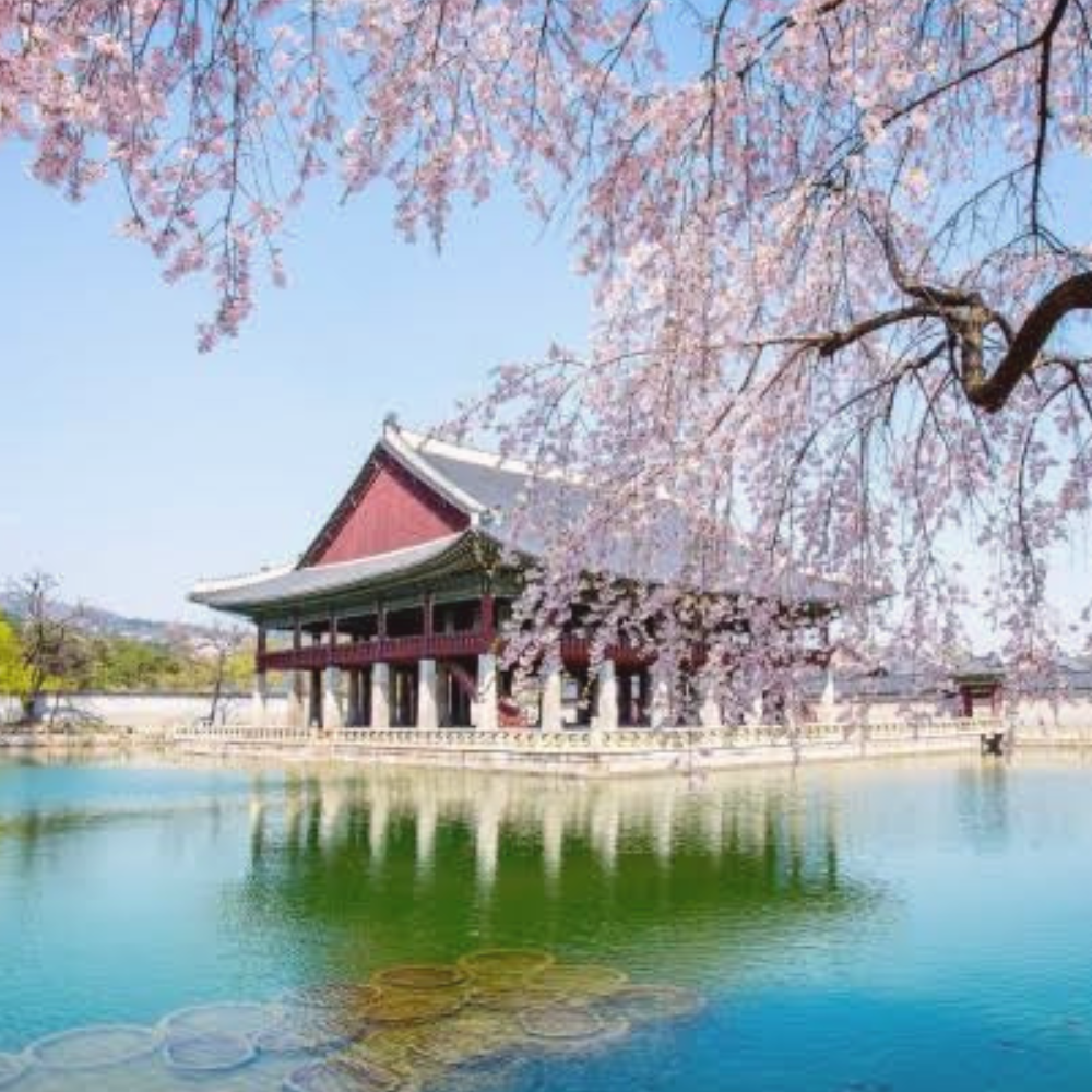 Summer Activities to Look Forward to in Korea