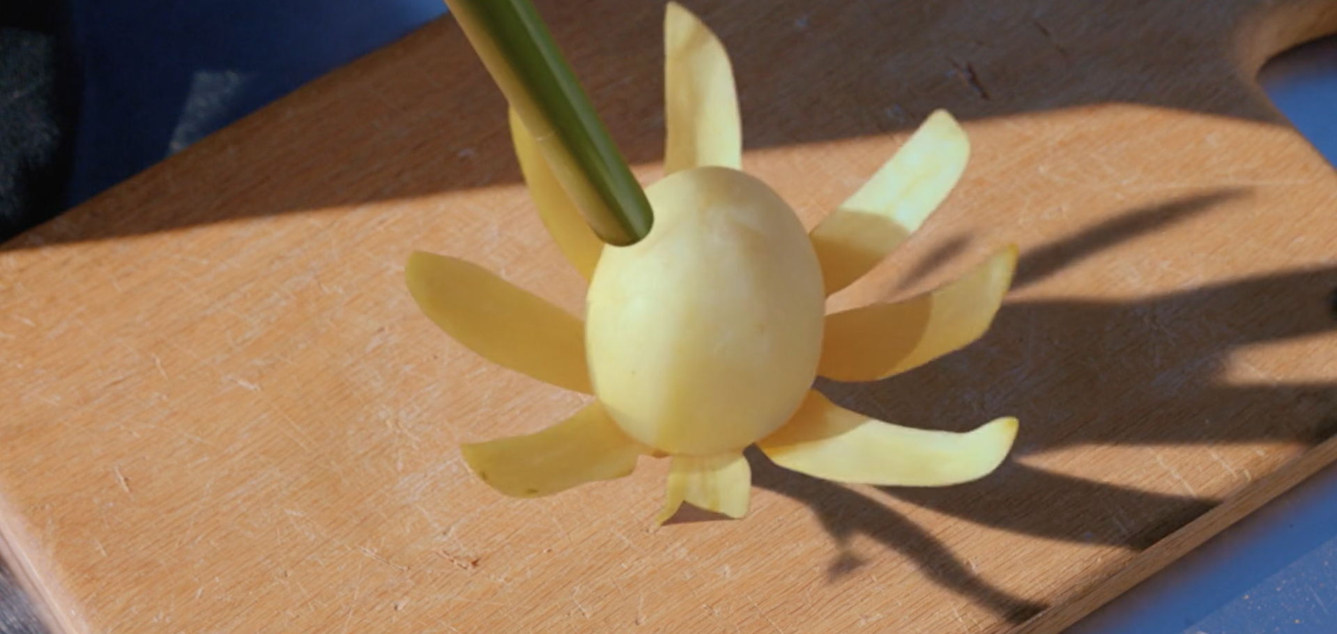 Potato flower in potato lab